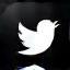 X (Twitter) Icon